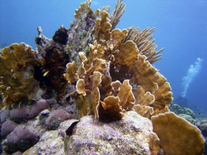 Trip to Bonaire