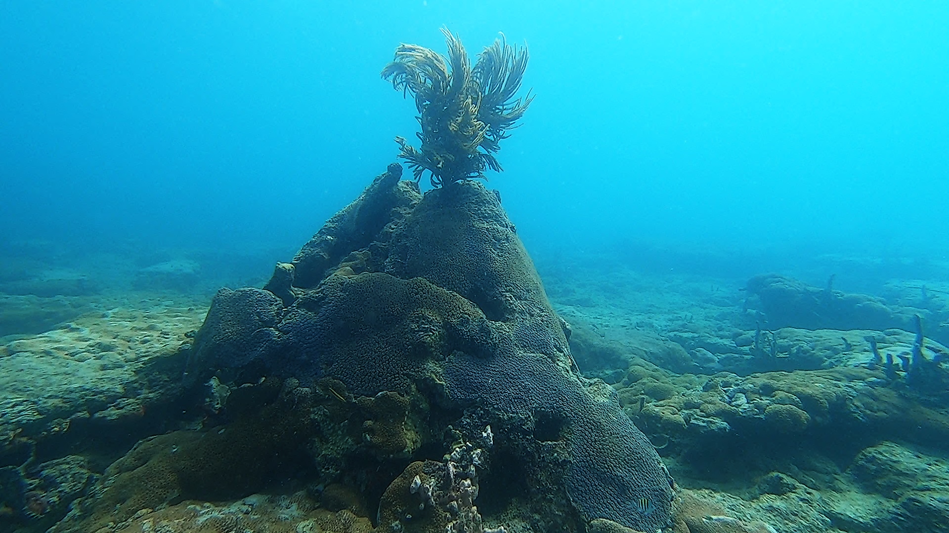 Ranger Rick's student becoming an Advance Diver